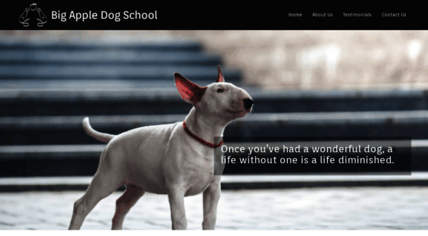 bigappledogschool.com