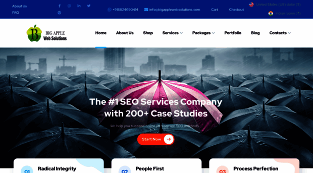 bigapplewebsolutions.com