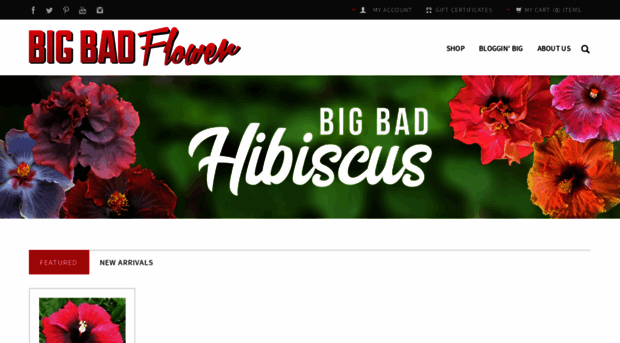 bigbadflower.com