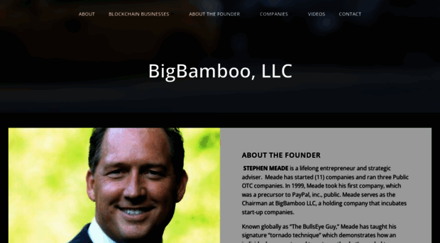 bigbamboollc.com