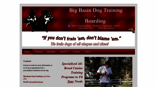 bigbasindogs.com