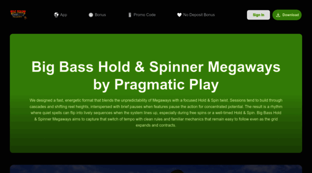 bigbassholdspinner.com