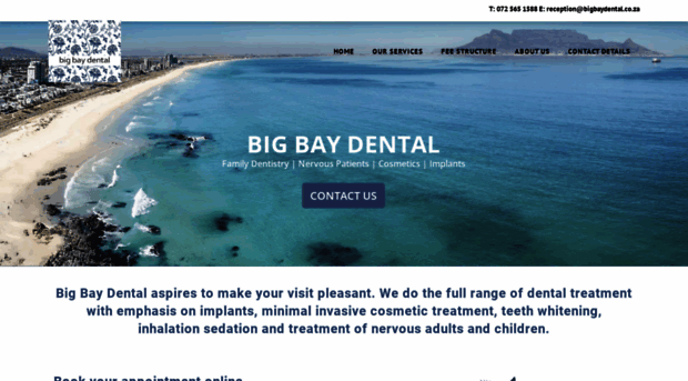 bigbaydental.co.za