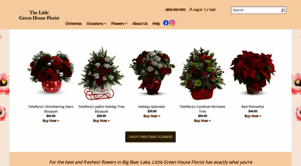 bigbearflorist.com