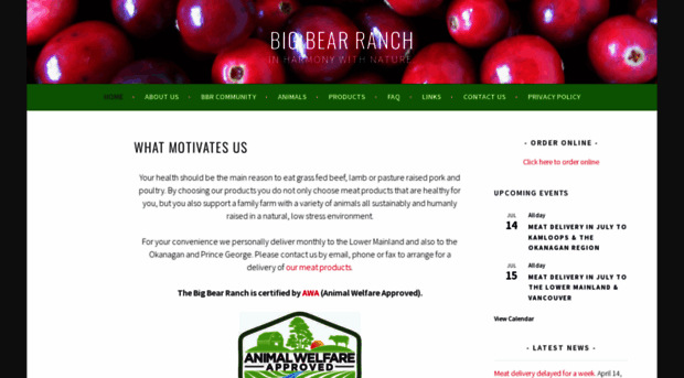 bigbearranch.com