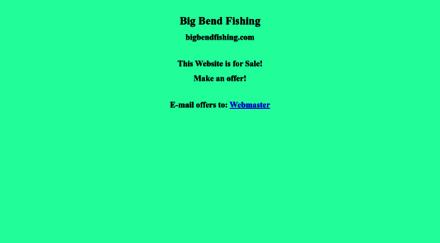 bigbendfishing.com