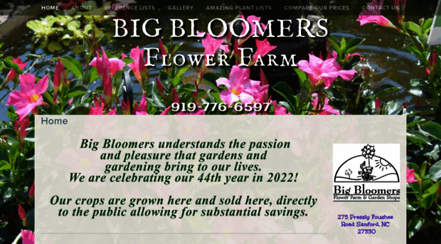 bigbloomersflowerfarm.com