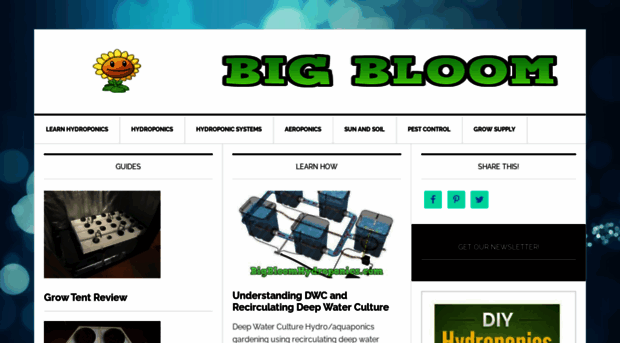 bigbloomhydroponics.com