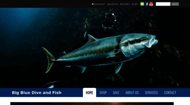 bigbluediveandfish.co.nz