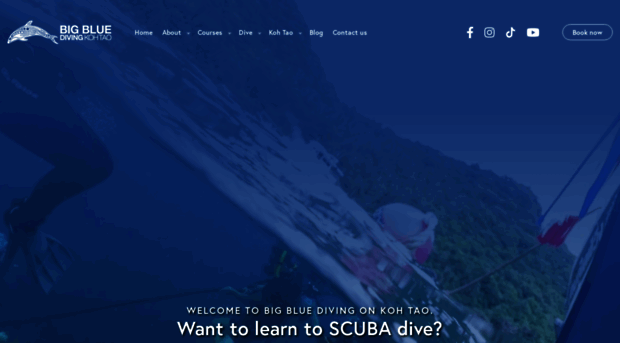 bigbluediving.com