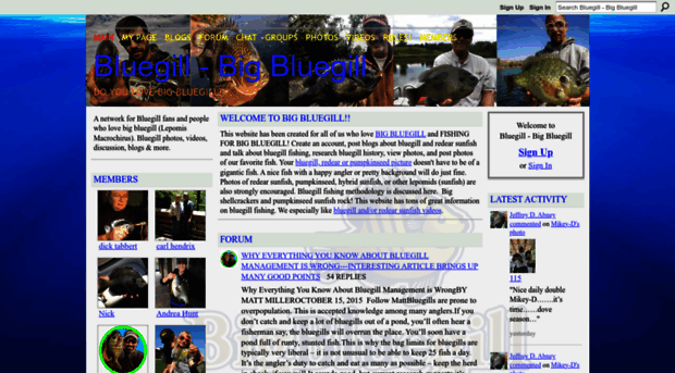 bigbluegill.com