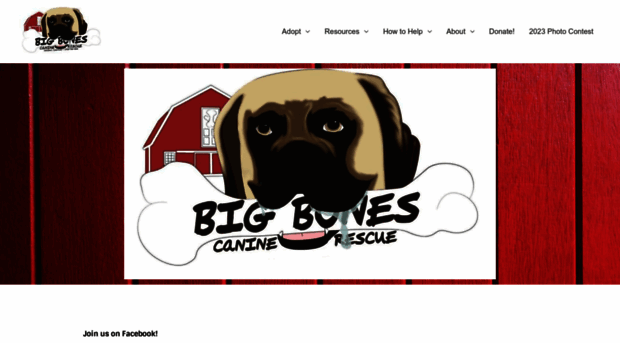 bigbonescaninerescue.com