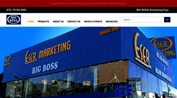 bigbosa.com