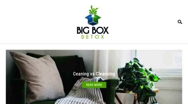 bigboxdetox.com