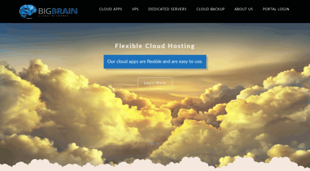 bigbrainhost.com