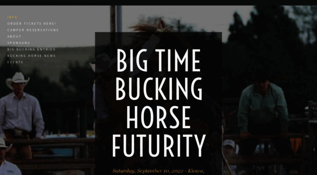 bigbuckinghorse.com