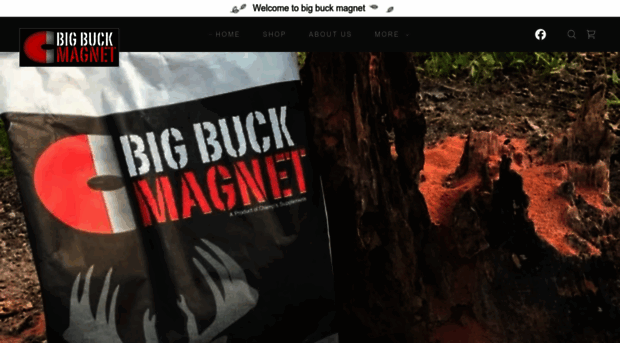 bigbuckmagnet.com