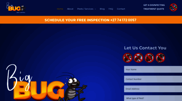 bigbug.co.za