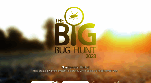 bigbughunt.com