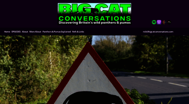 bigcatconversations.com