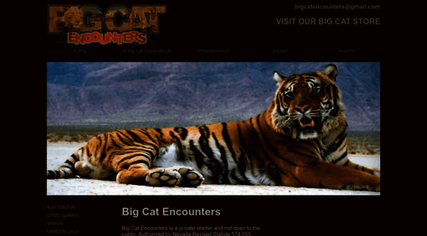 bigcatencounters.org