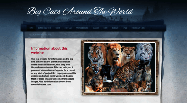 bigcatsaroundtheworld.weebly.com