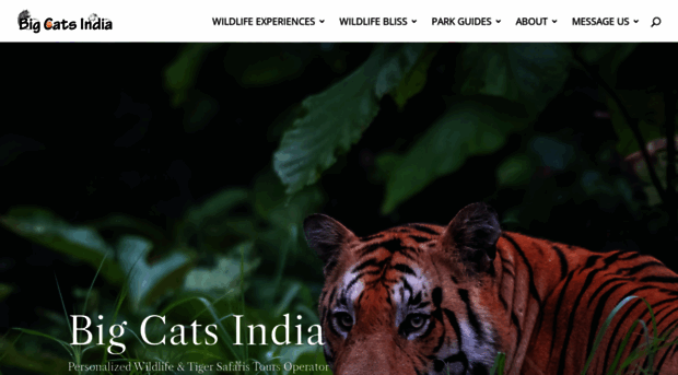 bigcatsindia.com