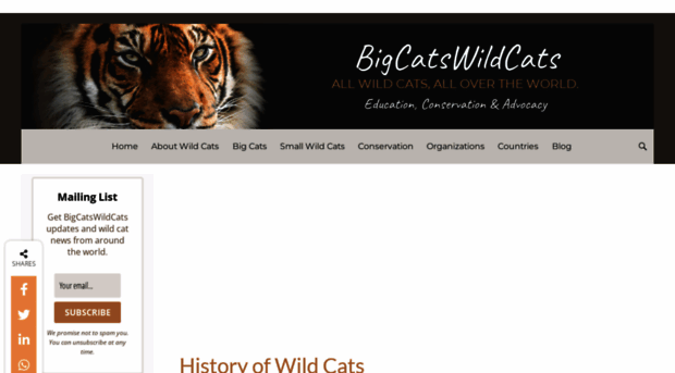 bigcatswildcats.com