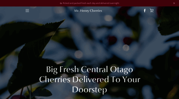 bigcherries.co.nz