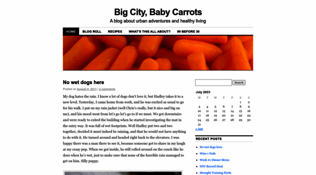 bigcitybabycarrots.wordpress.com