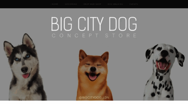 bigcitydog.co.uk