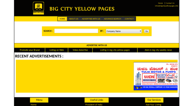 bigcityyellowpages.info