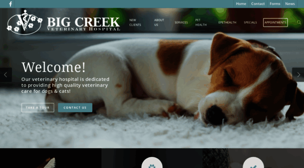 bigcreekvet.com