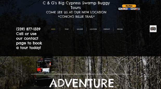 bigcypressswampbuggytours.com