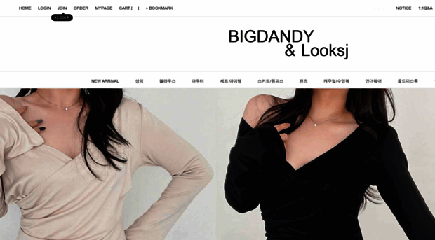 bigdandy.co.kr
