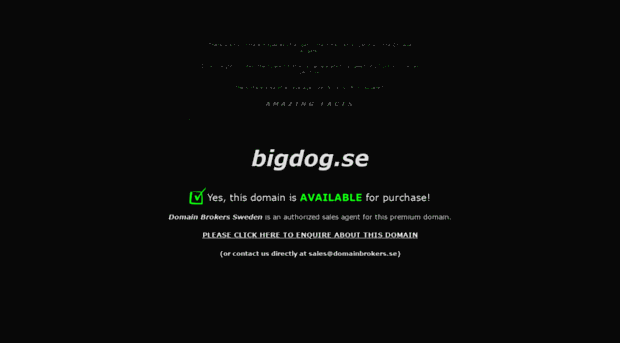 bigdog.se