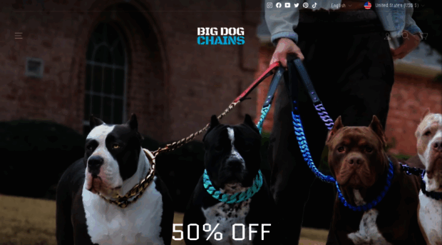 bigdogchains.com