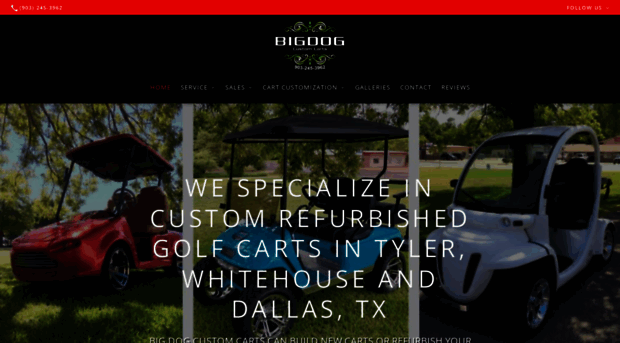 bigdogcustomcarts.com