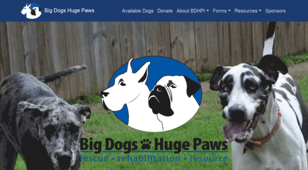 bigdogshugepaws.com