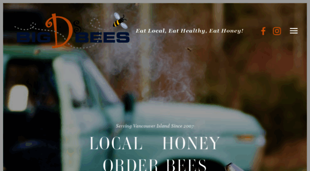 bigdsbees.com