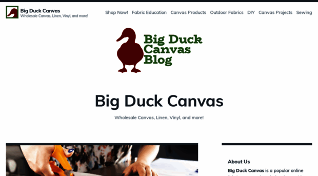 bigduckcanvasblog.com