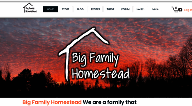 bigfamilyhomestead.com