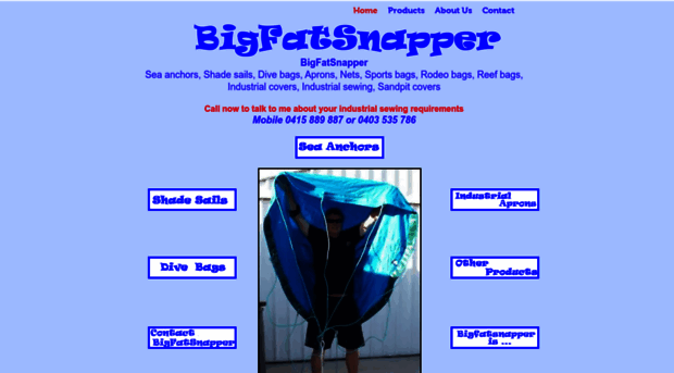 bigfatsnapper.com