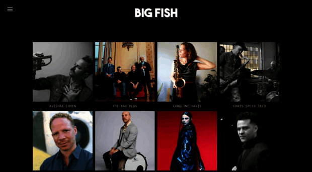 bigfishbookingco.com