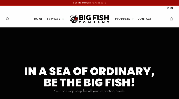 bigfishco.com