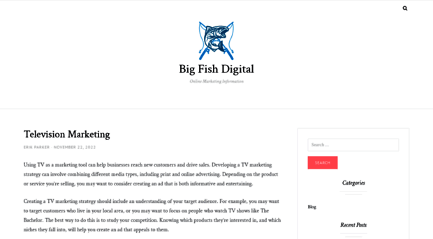 bigfishdigital.net