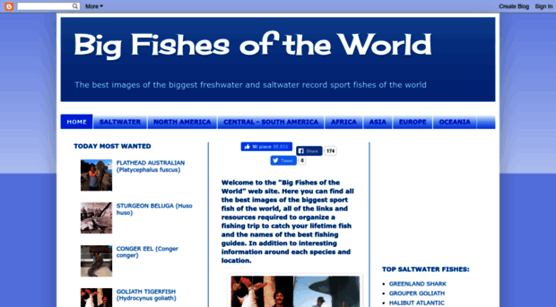 bigfishesoftheworld.blogspot.cz