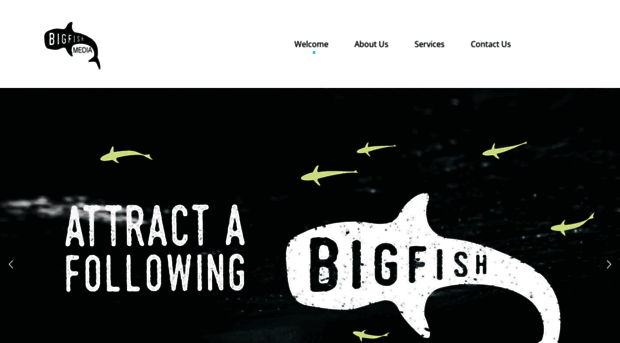 bigfishmedia.co.za