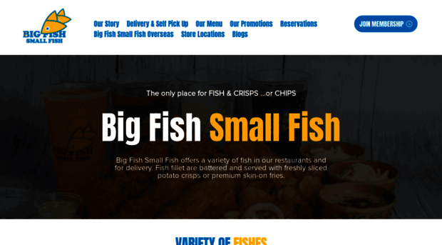 bigfishsmallfish.com