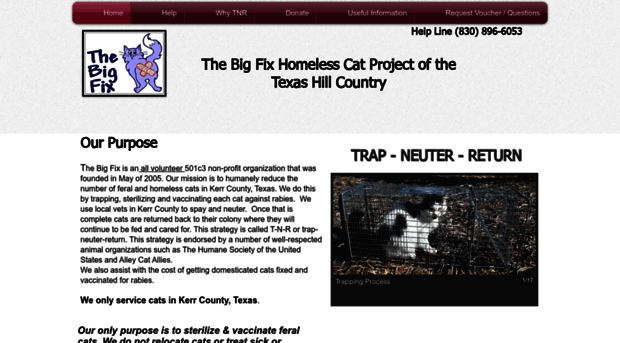 bigfixcats.com